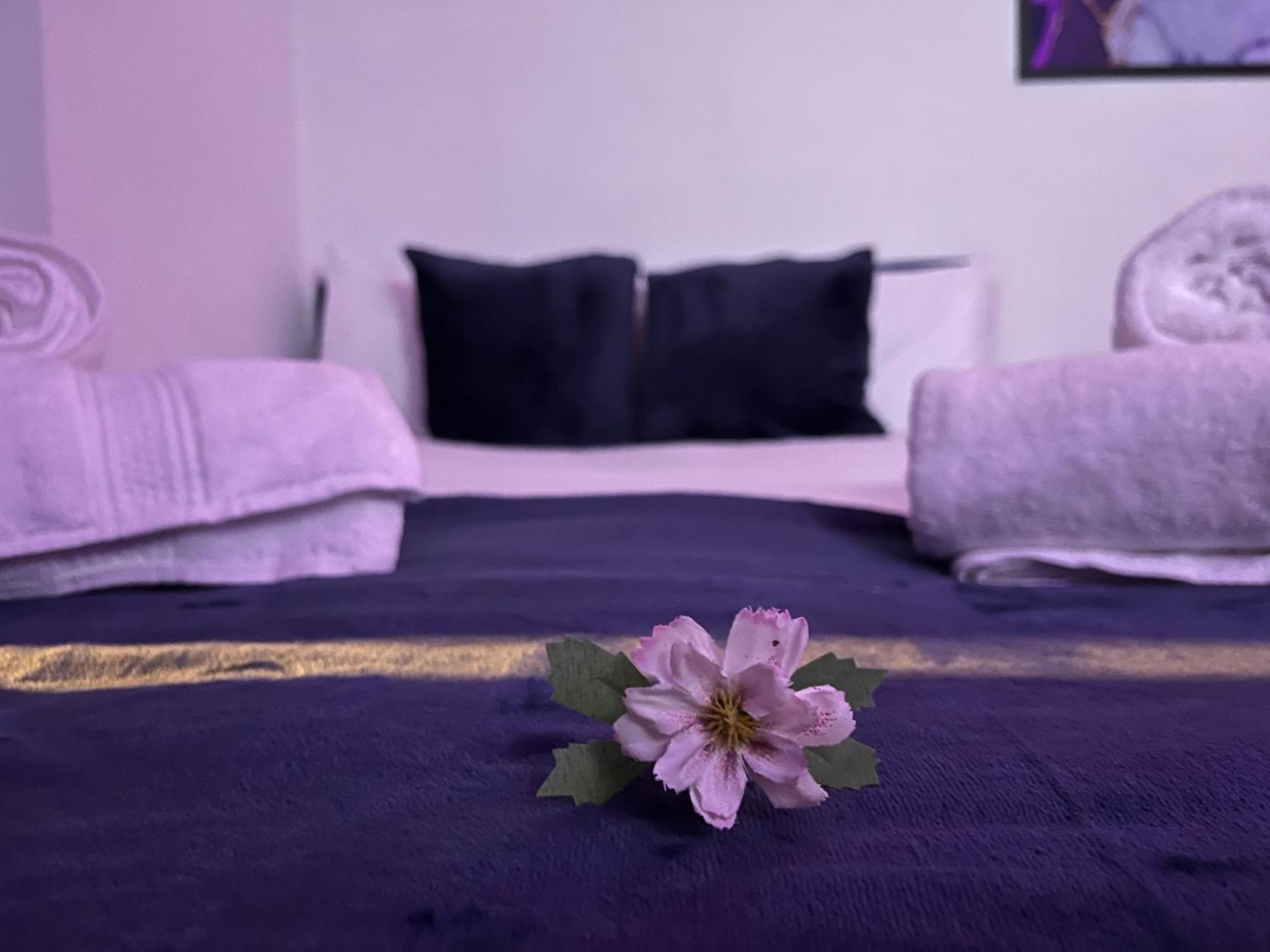 Apartment In Camden, Central Location Лондон Экстерьер фото
